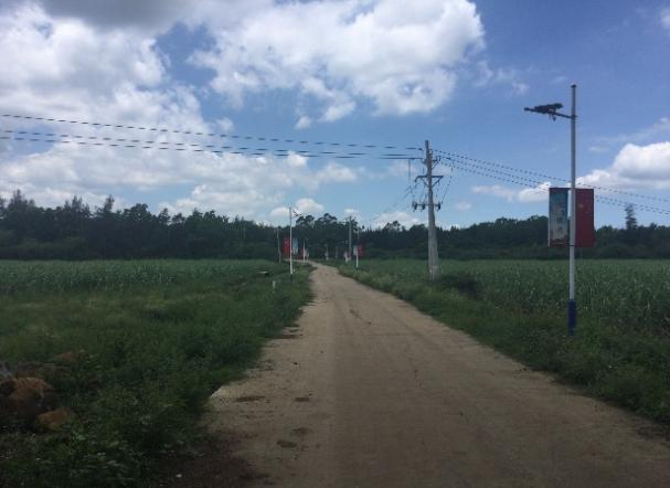 儋州市木棠镇道南村土地综合整治项目